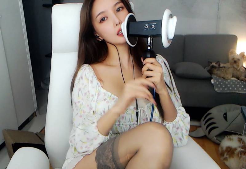 ASMR大艺术嘉啄木鸟 [1V/477M]