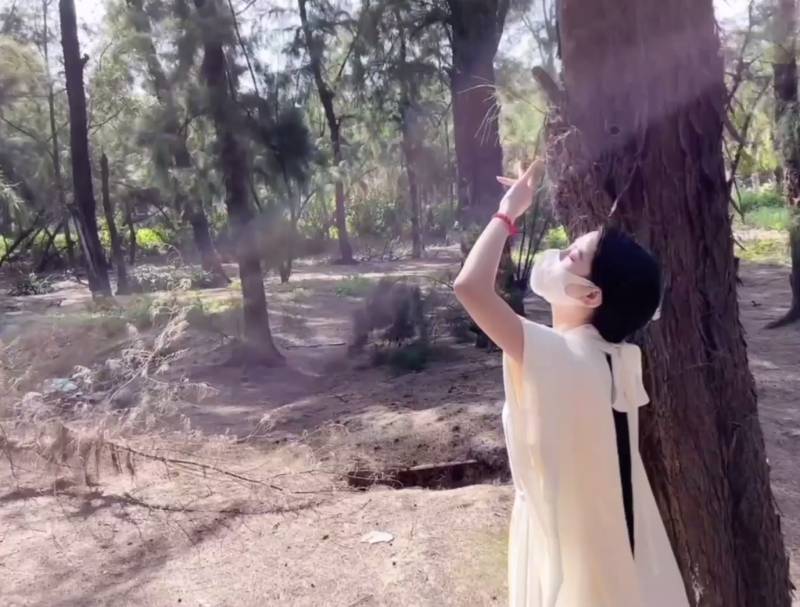 不见星空 - 我的反差古风女友 [1V+468M]