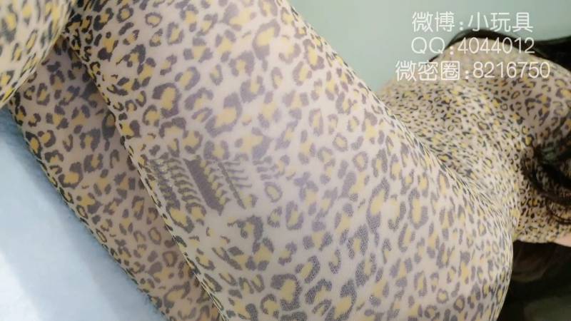 完具 娜美 -私人定制小豹纹 [1v+812M]