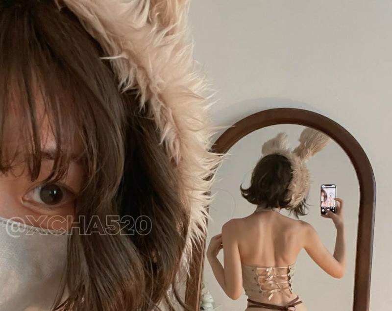 搽搽 - 灰色小兔叽 [50P/3V/569M]