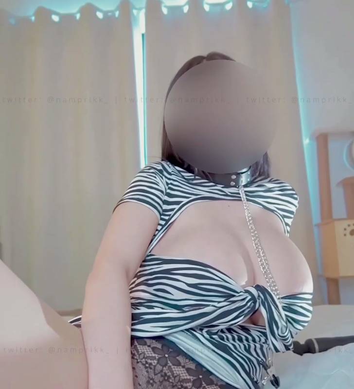 Npxvip -最新-性感条纹上衣 [2P/3v/464M]