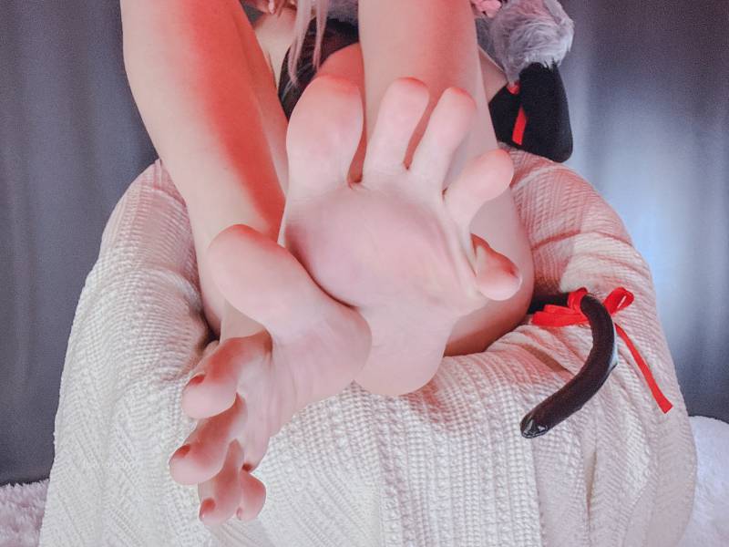 Ayame-伊莉雅 [33P/4V/262M]