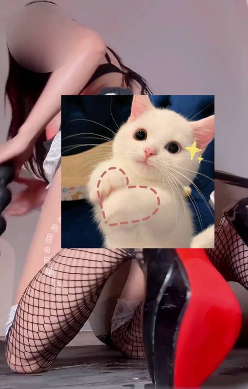 Npxvip-性感身姿御姐 [3v/312M]