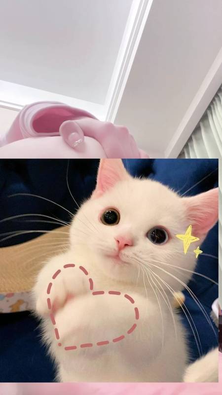 完具 娜美妖姬-粉色毛衣 复出5 [3v/597M]