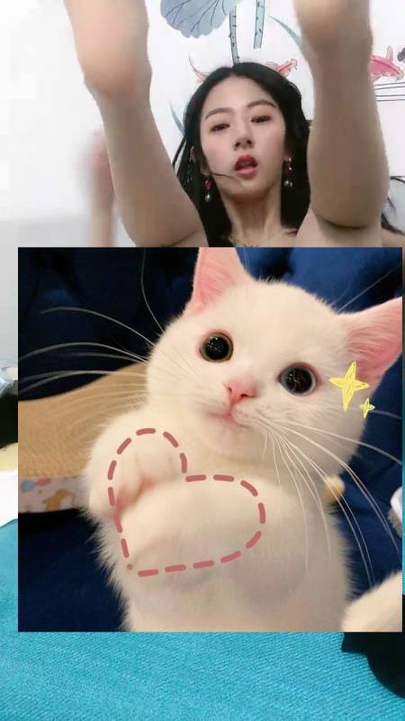 清纯校花 甜甜的蜜-黑丝学姐私拍定制 [1v/1.08G]